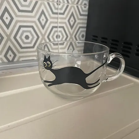 Posh Cat Apartment